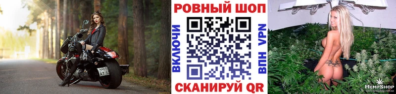 Купить наркотики цена Новороссийск ГАШИШ  Alpha PVP  COCAIN  Меф мяу мяу  Конопля 