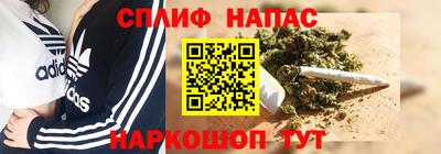 эйфоретик Кингисепп