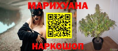 эйфоретик Кингисепп