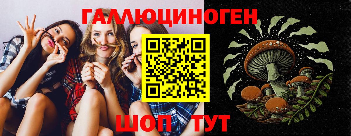 Новороссийск  Галлюциногенные грибы Cubensis  Галлюциногенные грибы прущие грибы  Вход с VPN 